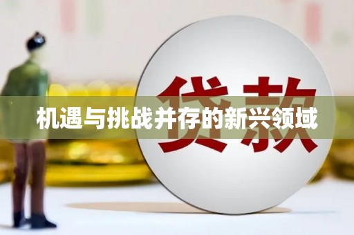 安定机遇与挑战并存的新兴领域
