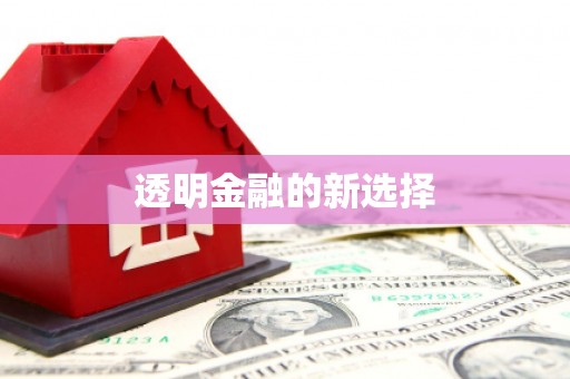 安定透明金融的新选择