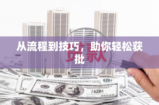 安定从流程到技巧，助你轻松获批