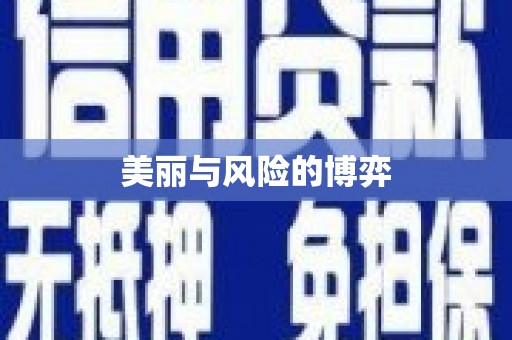 安定美丽与风险的博弈