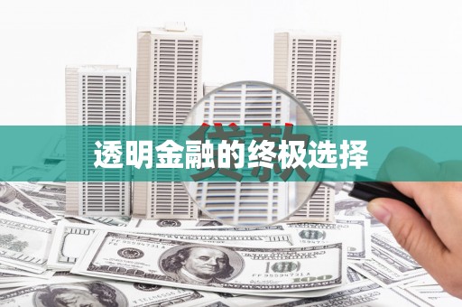 安定透明金融的终极选择