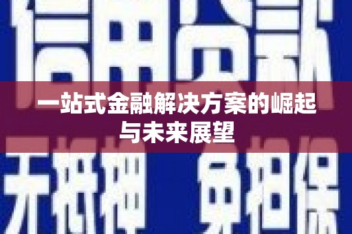 安定一站式金融解决方案的崛起与未来展望
