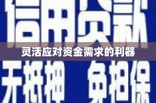 安定灵活应对资金需求的利器