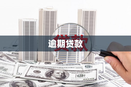 安定逾期贷款