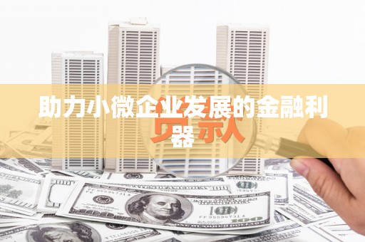 安定助力小微企业发展的金融利器