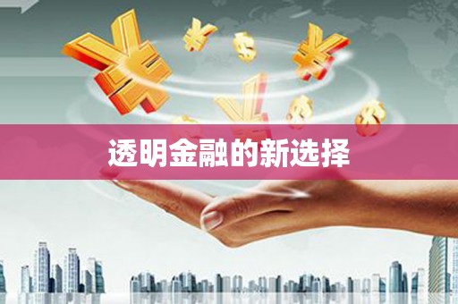 安定透明金融的新选择