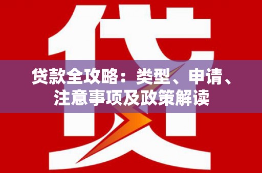 安定贷款全攻略：类型、申请、注意事项及政策解读