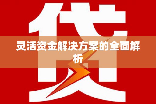 安定灵活资金解决方案的全面解析