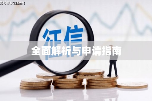 安定全面解析与申请指南