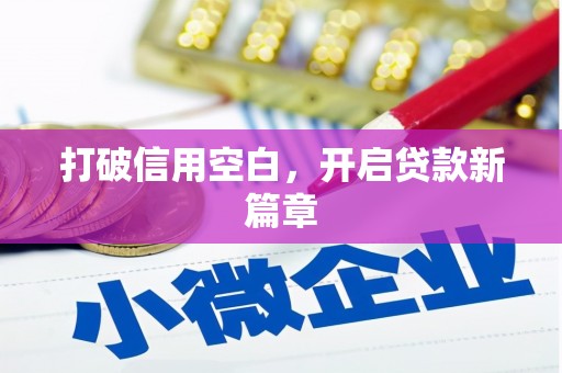 安定打破信用空白，开启贷款新篇章