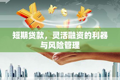 安定短期贷款，灵活融资的利器与风险管理