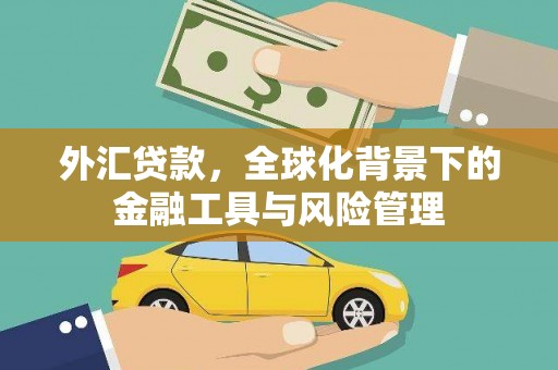安定外汇贷款，全球化背景下的金融工具与风险管理