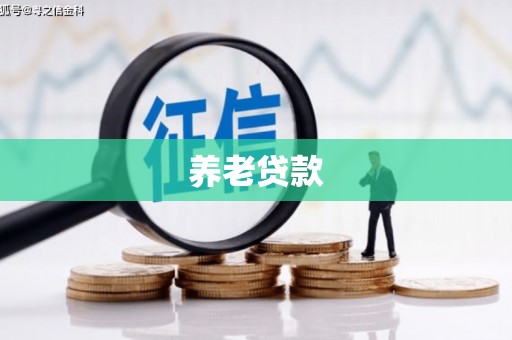 安定养老贷款