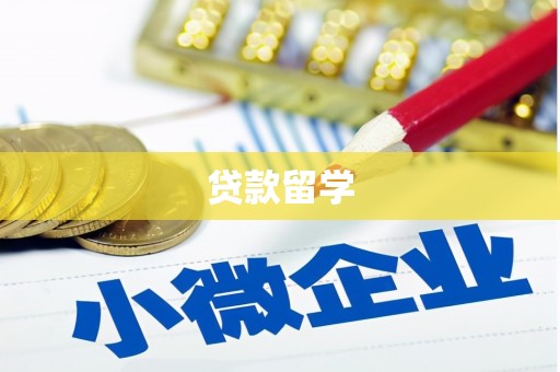 安定贷款留学