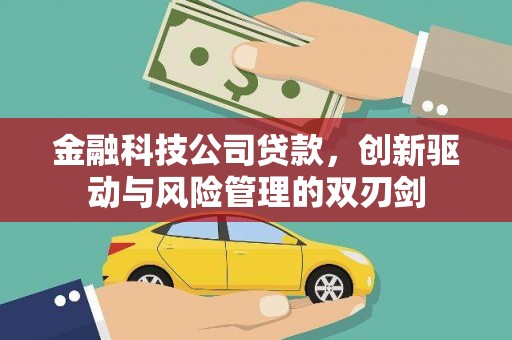 安定金融科技公司贷款，创新驱动与风险管理的双刃剑