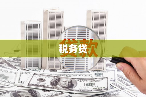 安定税务贷