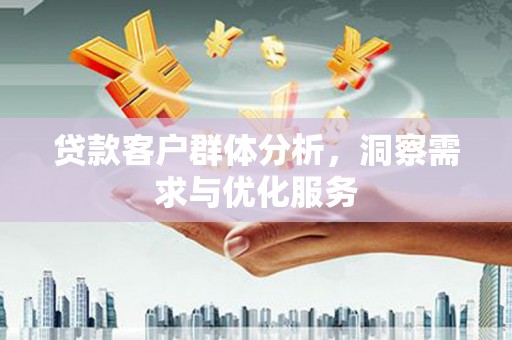 安定贷款客户群体分析，洞察需求与优化服务