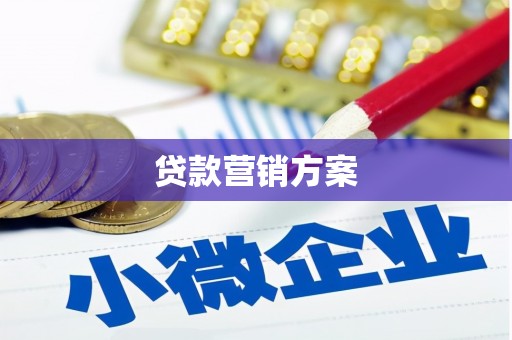 安定贷款营销方案