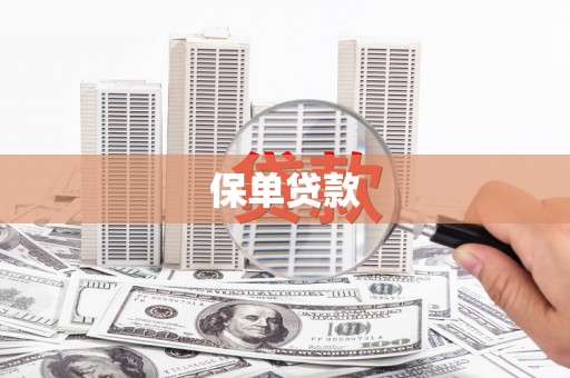 安定保单贷款
